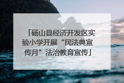 砀山县经济开发区实验小学开展“民法典宣传月”法治教育宣传