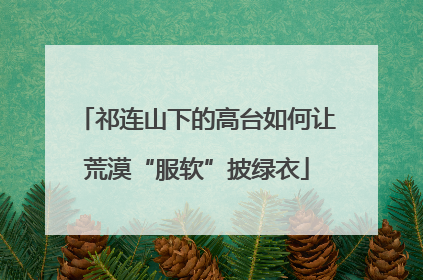 祁连山下的高台如何让荒漠“服软”披绿衣