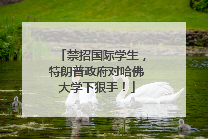 禁招国际学生，特朗普政府对哈佛大学下狠手！