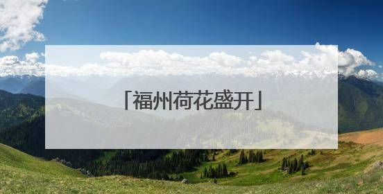 福州荷花盛开