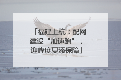 福建上杭：配网建设“加速跑”，迎峰度夏添保障