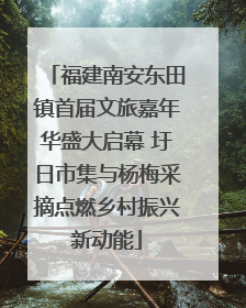 福建南安东田镇首届文旅嘉年华盛大启幕 圩日市集与杨梅采摘点燃乡村振兴新动能