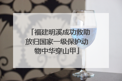 福建明溪成功救助放归国家一级保护动物中华穿山甲