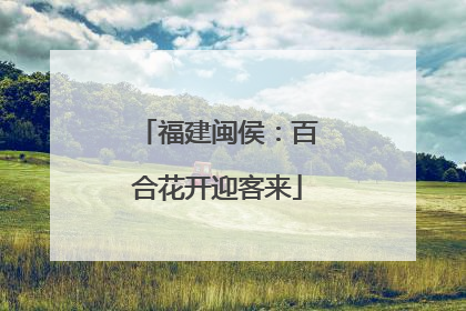 福建闽侯：百合花开迎客来