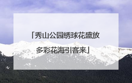秀山公园绣球花盛放 多彩花海引客来