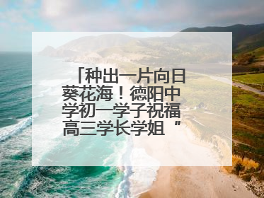 种出一片向日葵花海！德阳中学初一学子祝福高三学长学姐“一举夺魁”