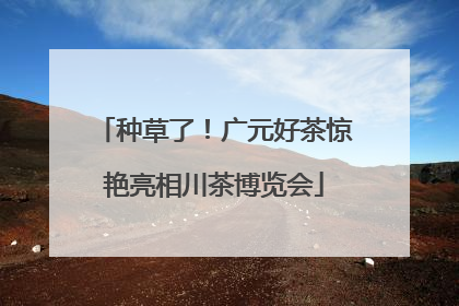 种草了！广元好茶惊艳亮相川茶博览会