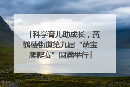 科学育儿助成长，黄鹤楼街道第九届“萌宝爬爬赛”圆满举行