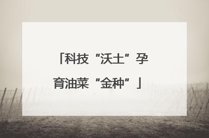 科技“沃土”孕育油菜“金种”