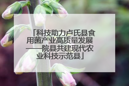 科技助力卢氏县食用菌产业高质量发展——院县共建现代农业科技示范县