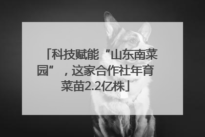 科技赋能“山东南菜园”，这家合作社年育菜苗2.2亿株