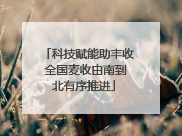 科技赋能助丰收 全国麦收由南到北有序推进
