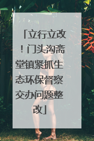 立行立改！门头沟斋堂镇紧抓生态环保督察交办问题整改