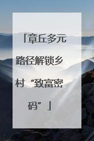 章丘多元路径解锁乡村“致富密码”