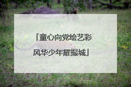 童心向党绘艺彩 风华少年耀撮城