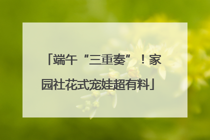 端午“三重奏”！家园社花式宠娃超有料