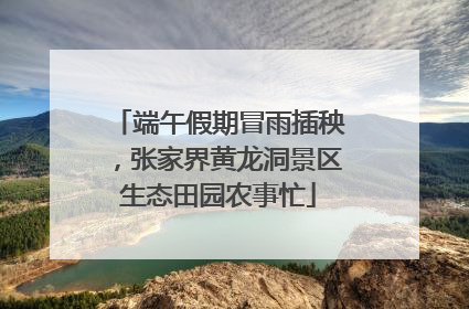 端午假期冒雨插秧，张家界黄龙洞景区生态田园农事忙