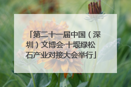 第二十一届中国（深圳）文博会·十堰绿松石产业对接大会举行