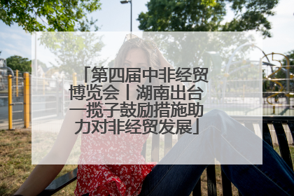 第四届中非经贸博览会丨湖南出台一揽子鼓励措施助力对非经贸发展