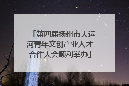 第四届扬州市大运河青年文创产业人才合作大会顺利举办