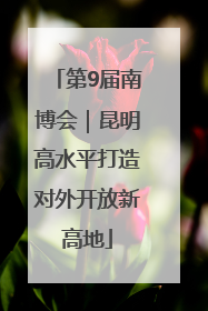 第9届南博会｜昆明高水平打造对外开放新高地