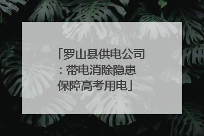罗山县供电公司：带电消除隐患 保障高考用电