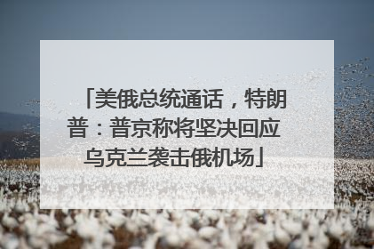 美俄总统通话，特朗普：普京称将坚决回应乌克兰袭击俄机场