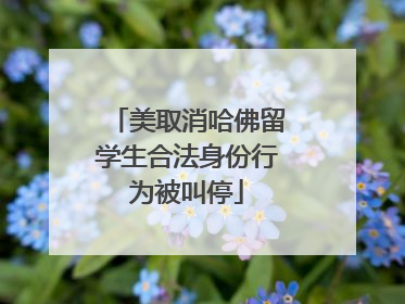 美取消哈佛留学生合法身份行为被叫停