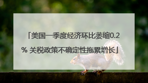 美国一季度经济环比萎缩0.2% 关税政策不确定性拖累增长