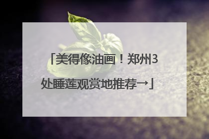 美得像油画！郑州3处睡莲观赏地推荐→