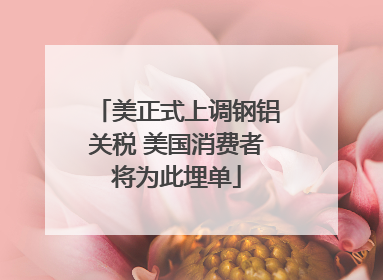 美正式上调钢铝关税 美国消费者将为此埋单