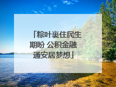 粽叶裹住民生期盼 公积金融通安居梦想