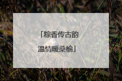 粽香传古韵 温情暖桑榆