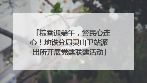 粽香迎端午，警民心连心！地铁分局灵山卫站派出所开展党建联建活动