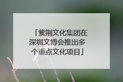 紫荆文化集团在深圳文博会推出多个重点文化项目