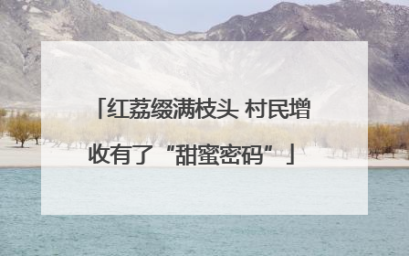 红荔缀满枝头 村民增收有了“甜蜜密码”