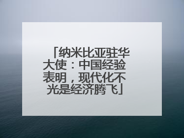 纳米比亚驻华大使：中国经验表明，现代化不光是经济腾飞