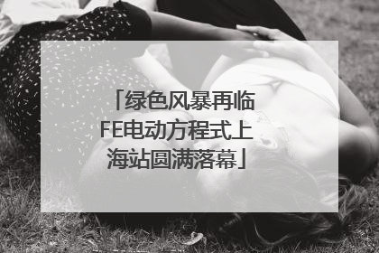 绿色风暴再临 FE电动方程式上海站圆满落幕