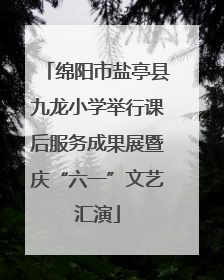 绵阳市盐亭县九龙小学举行课后服务成果展暨庆“六一”文艺汇演
