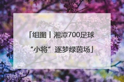 组图丨湘潭700足球“小将”逐梦绿茵场