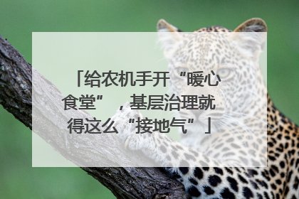 给农机手开“暖心食堂”，基层治理就得这么“接地气”