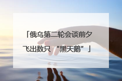 俄乌第二轮会谈前夕 飞出数只 “黑天鹅”