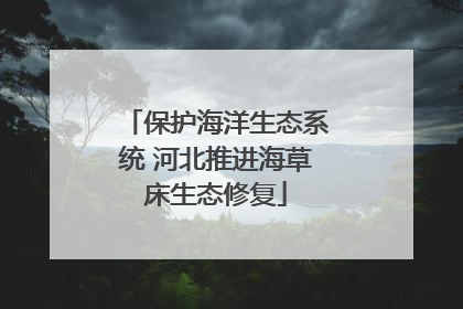保护海洋生态系统 河北推进海草床生态修复