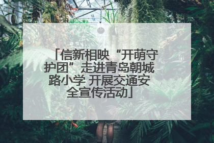 信新相映“开萌守护团”走进青岛朝城路小学 开展交通安全宣传活动