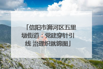 信阳市浉河区五里墩街道：党建穿针引线 治理织就锦图