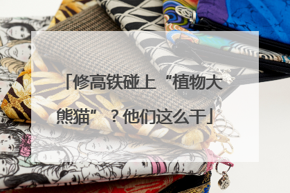 修高铁碰上“植物大熊猫”？他们这么干