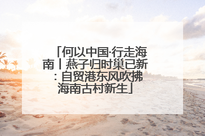 何以中国·行走海南丨燕子归时巢已新：自贸港东风吹拂 海南古村新生