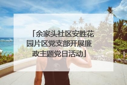 余家头社区安胜花园片区党支部开展廉政主题党日活动