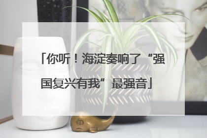 你听！海淀奏响了“强国复兴有我”最强音