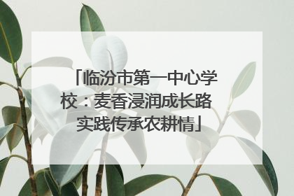 临汾市第一中心学校：麦香浸润成长路 实践传承农耕情